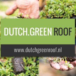 Dutchgreen Roof